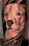 Hero background image Tattoo perro