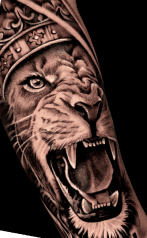Hero background image Tattoo leon