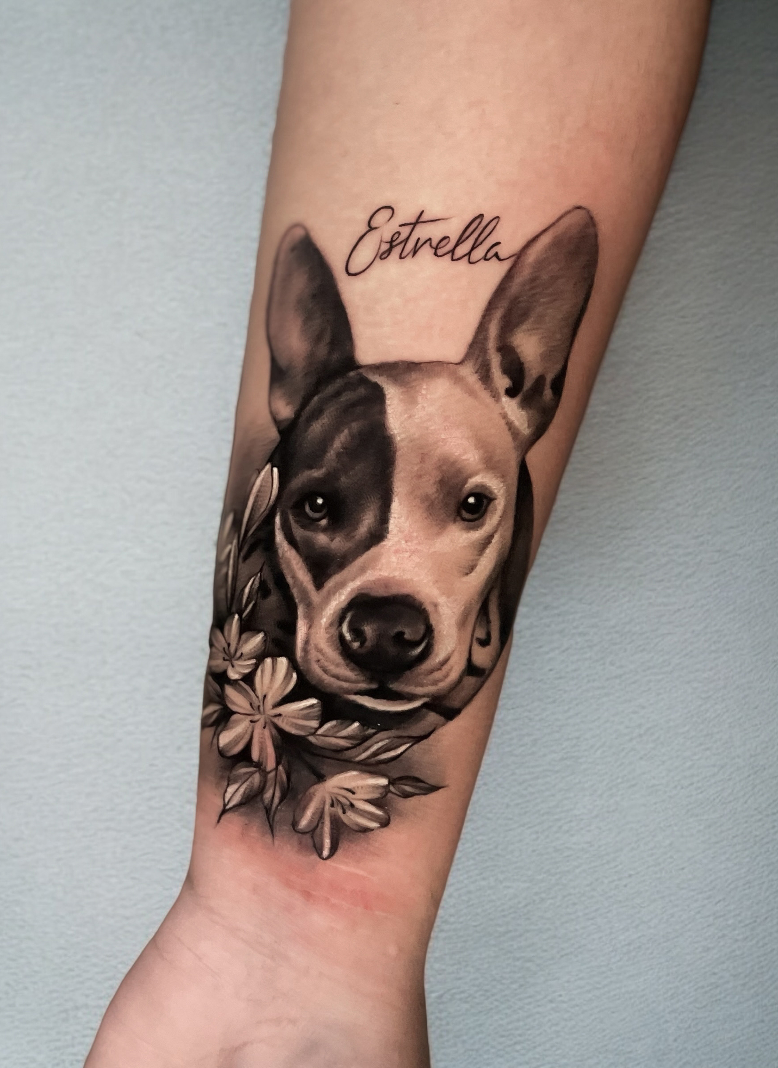 Retrato mascota tatuaje realista Cali